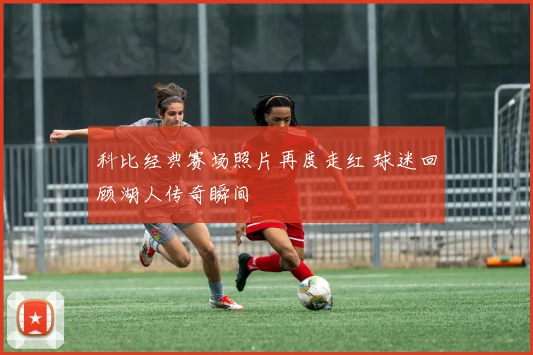 科比经典赛场照片再度走红 球迷回顾湖人传奇瞬间