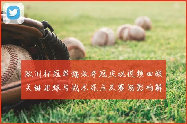 欧洲杯冠军播放夺冠庆祝视频回顾关键进球与战术亮点及赛场影响解析