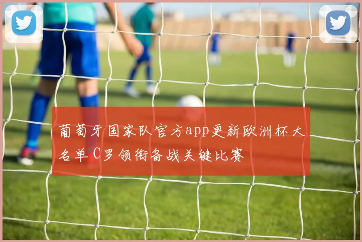 葡萄牙国家队官方app更新欧洲杯大名单 C罗领衔备战关键比赛