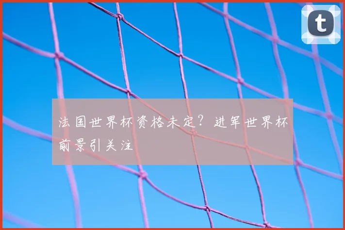 法国世界杯资格未定?进军世界杯前景引关注