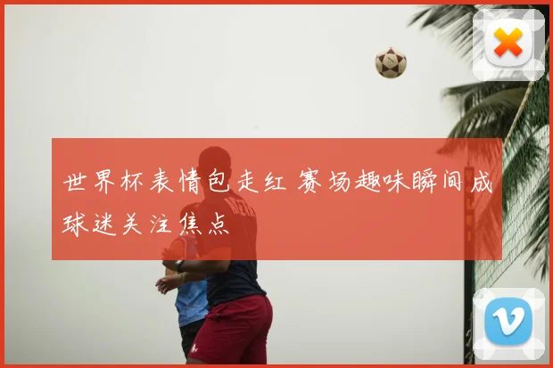 世界杯表情包走红 赛场趣味瞬间成球迷关注焦点