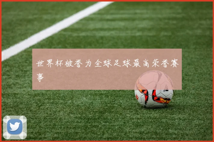 世界杯被誉为全球足球最高荣誉赛事