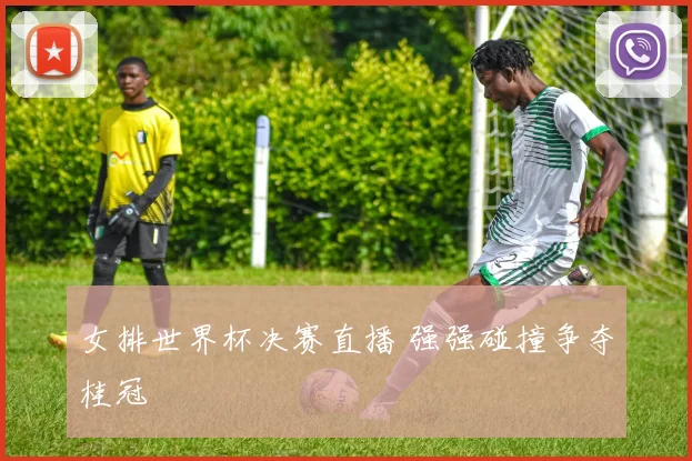 女排世界杯决赛直播 强强碰撞争夺桂冠