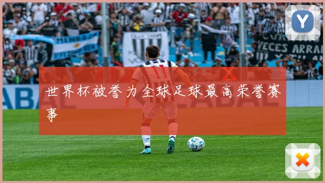 世界杯被誉为全球足球最高荣誉赛事