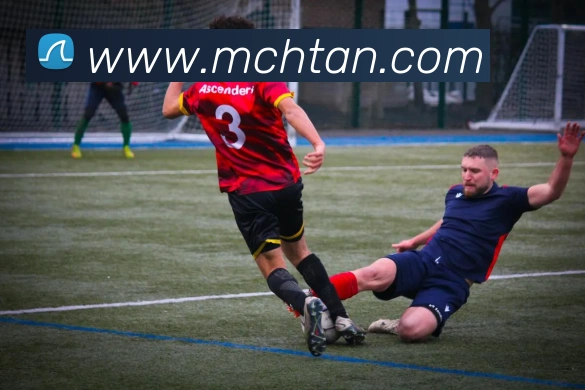 开云账号中心登录入口平台生态图